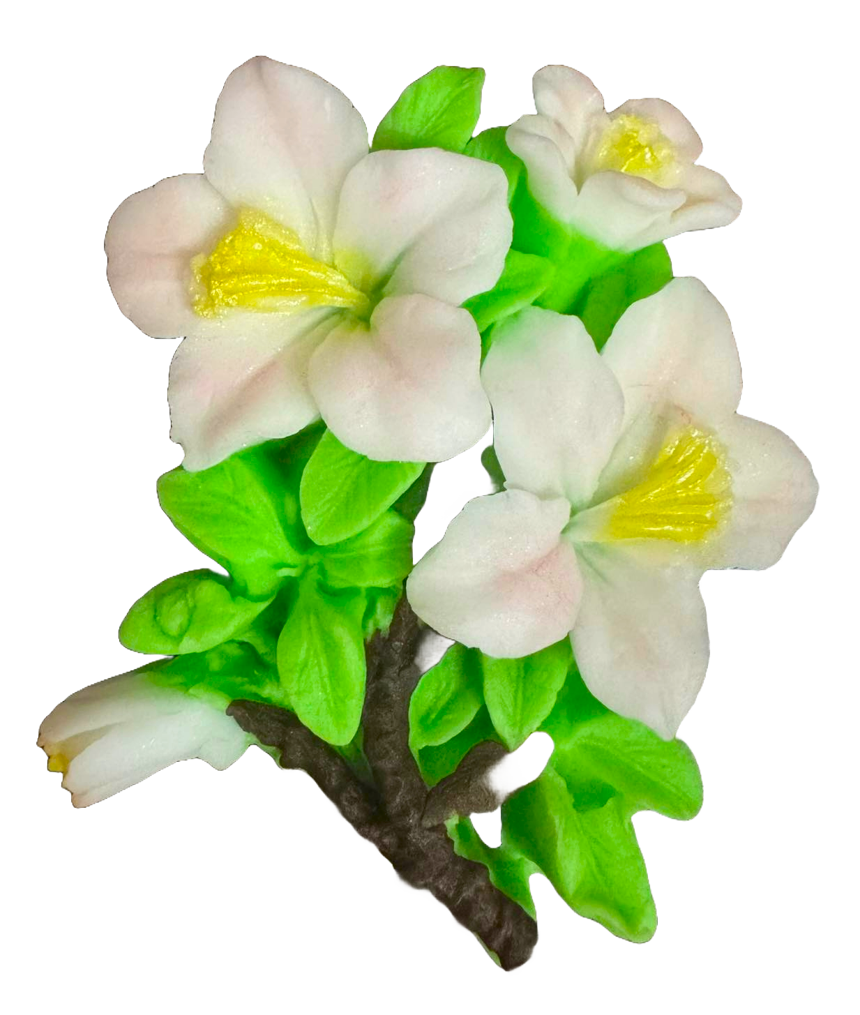 Decoratiune comestibila din zahar, Crenguta de mar Decoratiuni din Pasta de Zahar Nati Shop