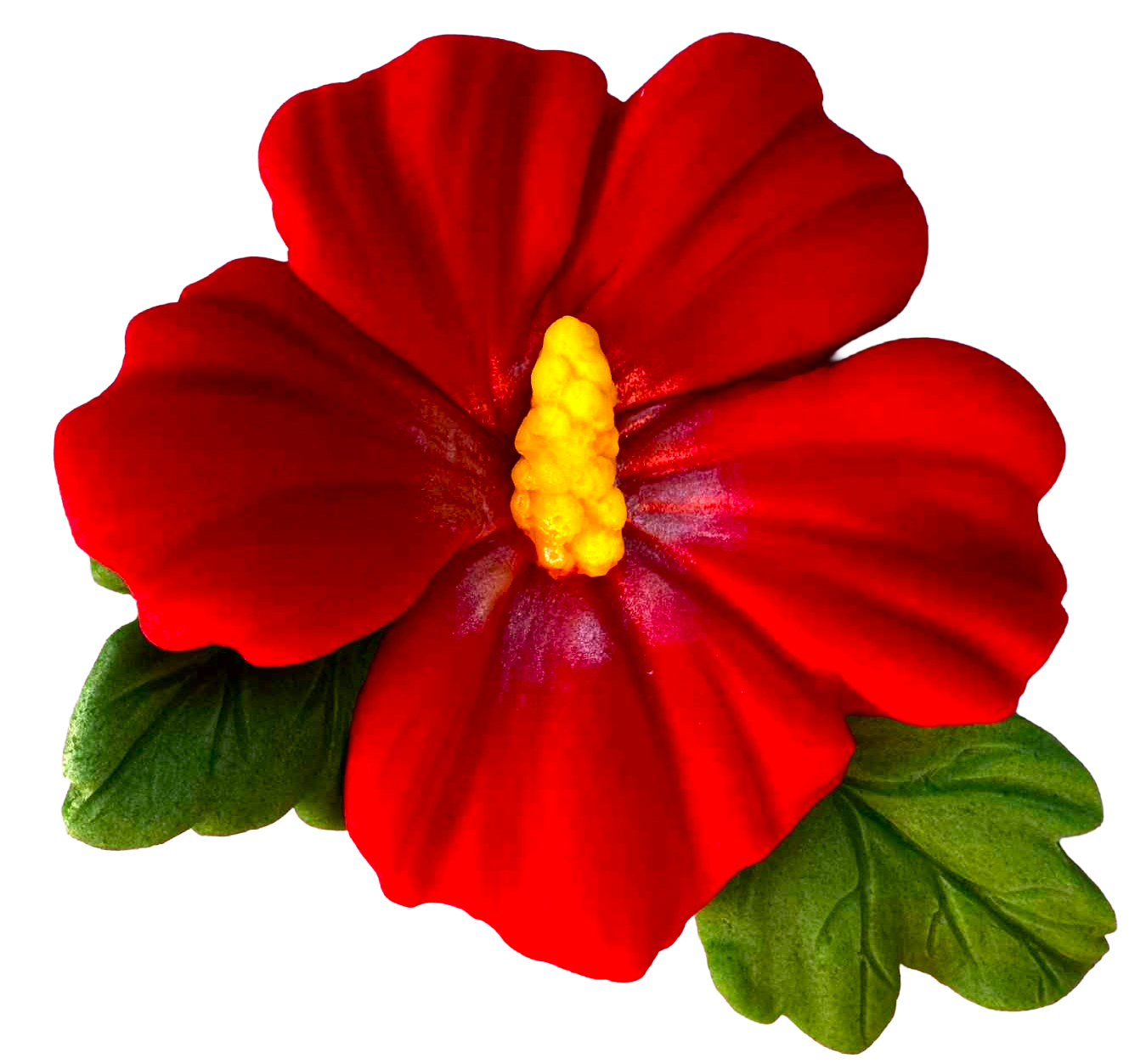 Decoratiune comestibila, Floare de hibiscus