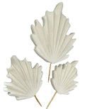 Set 3 decoratiuni comestibile din zahar, Frunze exotice albe Decoratiuni din Pasta de Zahar Nati Shop