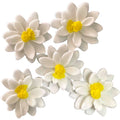 Set 5 decoratiuni comestibile din zahar, Flori albe Decoratiuni din Pasta de Zahar Nati Shop