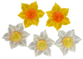 Set 5 decoratiuni comestibile din zahar, Narcise Decoratiuni din Pasta de Zahar Nati Shop